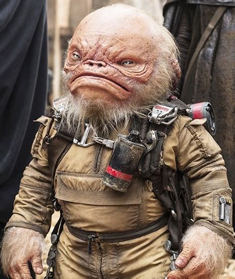 warwick davis star wars